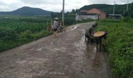 国产三级乡下,国产三级电影的乡村画卷